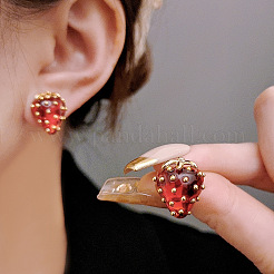 Alloy Resin Stud Earrings&nbsp;FS-WG37863-01