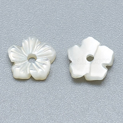 Natural White Shell Beads&nbsp;SSHEL-S260-003