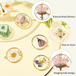 5Pcs 5 Styles Transparent Clear Epoxy Resin Pendants&nbsp;RESI-YW0004-21