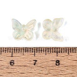 Electroplate Transparent Glass Beads&nbsp;EGLA-N057-03B