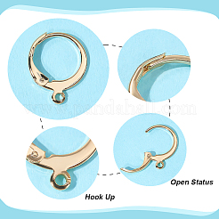 100Pcs 304 Stainless Steel Leverback Earring Findings&nbsp;STAS-ME0001-25