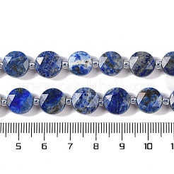 Natural Lapis Lazuli Beads Strands&nbsp;G-N342-16