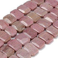 Natural Rhodonite Beads Strands&nbsp;G-C285-A05-01