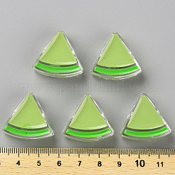 Transparent Enamel Acrylic Beads&nbsp;LS-TACR-S155-001D