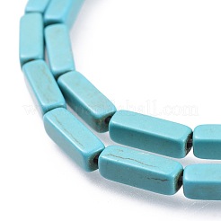 Synthetic Turquoise Beads Strands&nbsp;G-E456-29A-1