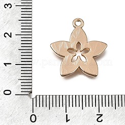 Alloy with Enamel Pendants&nbsp;AL-CBA2F44-01G-02