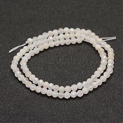 Natural Rainbow Moonstone Beads  Strands&nbsp;G-F460-23