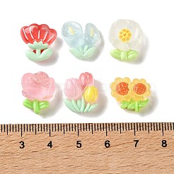 Transparent Resin Cabochons&nbsp;RESI-G134-01