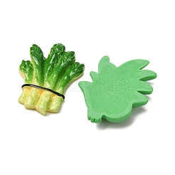 Opaque Resin Imitation Vegetable Cabochons&nbsp;RE-CBAE980-10