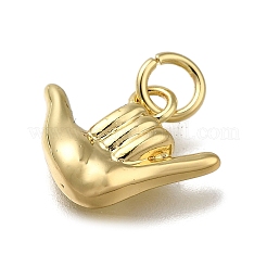 Brass Pendants&nbsp;ZIRC-I070-019G