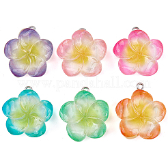 30Pcs Resin Pendants&nbsp;RESI-BM0001-06A