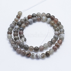 Round Natural Botswana Agate Bead Strands&nbsp;G-I166-02-6mm