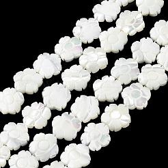 Natural Trochus Shell Beads Strands&nbsp;BSHE-E030-03