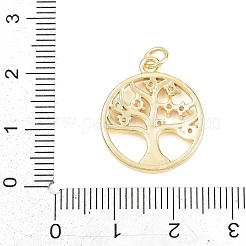 Brass Micro Pave Clear Cubic Zirconia Pendants&nbsp;KK-D258-13G