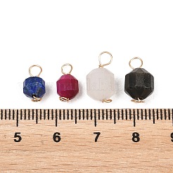 Natural Mixed Gemstone Copper Wire Wrapped Charms&nbsp;PALLOY-JF02173