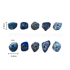 Natural Lapis Lazuli Chip Beads&nbsp;G-CJ0001-25