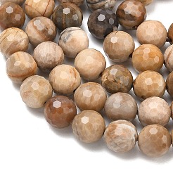 Natural Petrified Wood Beads Strands&nbsp;G-L642-F09-8mm