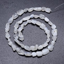 Natural White Rainbow Moonstones Nuggets Bead Strands&nbsp;G-O048-07