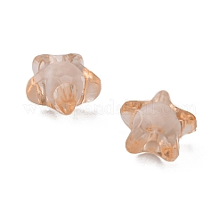 Transparent Acrylic Beads&nbsp;LS-TACR-S091-12mm-05