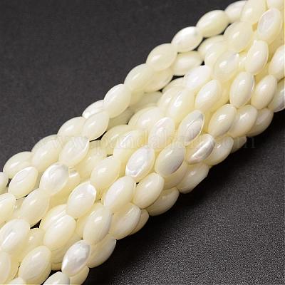 Natural Trochid Shell/Trochus Shell Beads Strands&nbsp;SSHEL-K008-06-1