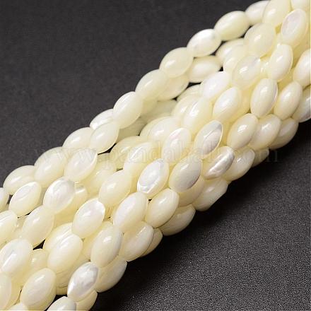 Natural Trochid Shell/Trochus Shell Beads Strands&nbsp;SSHEL-K008-06-1