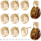 12Pcs Brass Stud Earring Findings, with Vertical Loops, Flat Round, with 40Pcs Plastic Ear Nuts, Real 18K Gold Plated, 11.5x10mm, Hole: 1.2mm, Pin: 0.8mm