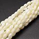 Natural Trochid Shell/Trochus Shell Beads Strands&nbsp;SSHEL-K008-06-1