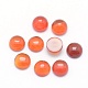 Natural Carnelian Cabochons&nbsp;G-P393-R18-6mm-1