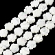 Natural Trochus Shell Beads Strands&nbsp;BSHE-E030-03-2