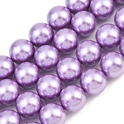 Electroplated Shell Pearl Beads Strands&nbsp;BSHE-F018-01