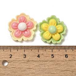 Opaque Cartoon Resin Decoden Cabochons&nbsp;RESI-Q231-02