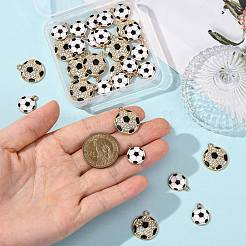 Alloy Enamel Pendants&nbsp;FIND-FS0005-04A