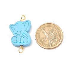 Spray Painted Wood Connector Charms&nbsp;PALLOY-JF01427-12