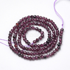 Natural Garnet Beads Strands&nbsp;G-R362-07