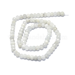 Natural Rainbow Moonstone Beads Strands&nbsp;G-F715-086