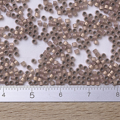 MIYUKI Delica Beads&nbsp;SEED-JP0008-DB0191