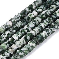 Natural Green Spot Jasper Beads Strands&nbsp;G-Q606-46A-07