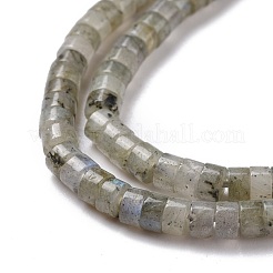 Natural Labradorite Beads Strands&nbsp;G-P468-16