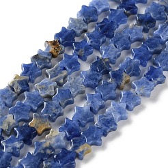 Natural Sodalite Beads Strands&nbsp;G-G085-B46-02