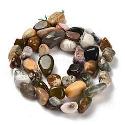 Natural Ocean Jasper Beads Strands&nbsp;G-P497-01E-90B