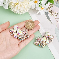2Pcs Butterfly Alloy Glass Rhinestone Shoe Decoration&nbsp;FIND-AR0005-01C