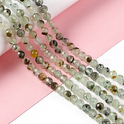 Natural Prehnite Beads Strands&nbsp;G-F717-11A