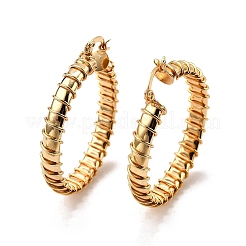 Brass Hoop Earrings&nbsp;EJEW-Z117-01G