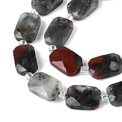 Natural Africa Bloodstone Beads Strands&nbsp;G-T139-87