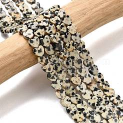 Natural Dalmatian Jasper Beads Strands&nbsp;LS-G-A272-A01-32