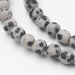 Natural Dalmatian Jasper Bead Strands&nbsp;G-G735-68F-4mm