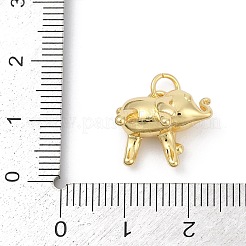 Brass Pendants&nbsp;KK-U062-28G