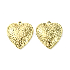 304 Stainless Steel Pendants&nbsp;STAS-L269-002G