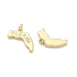 Brass Pendants&nbsp;KK-D229-22D-G