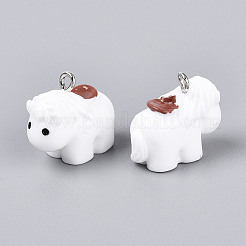 Opaque Resin Pendants&nbsp;RESI-N046-01